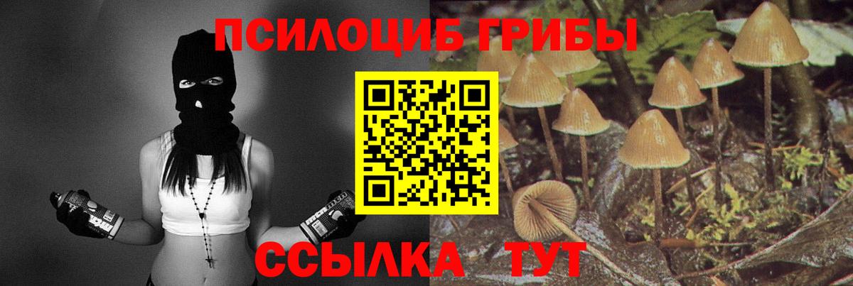 Галлюциногенные грибы ЛСД  Вход с VPN  Татарск 